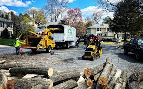  Vaeboro, NC Tree Removal and Landscaping Services Pros